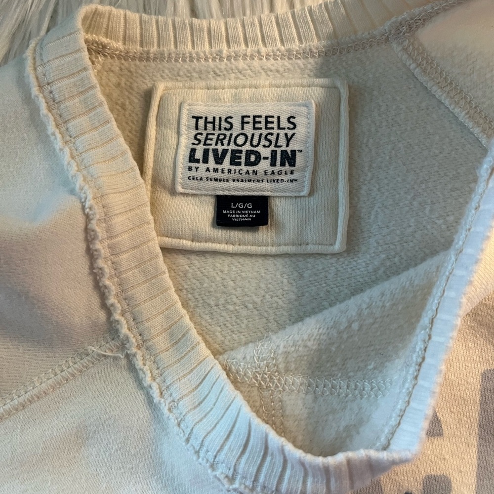 American Eagle Anything is Possible Graphic Sweatshirt - Picture 6 of 13